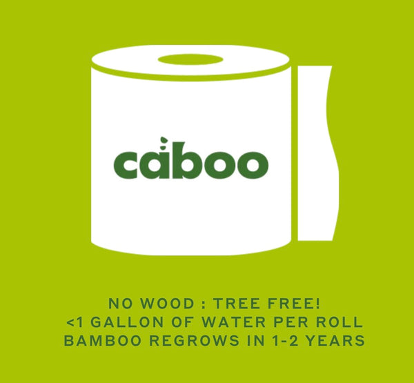 Caboo Bamboo Paper Towel - x6 rolls