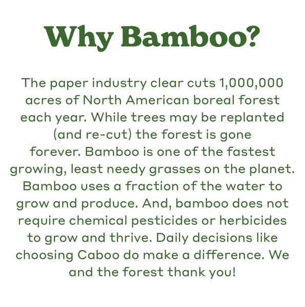 Caboo Bamboo Toilet Paper - x24 rolls